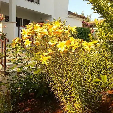 Apartment Mimoza